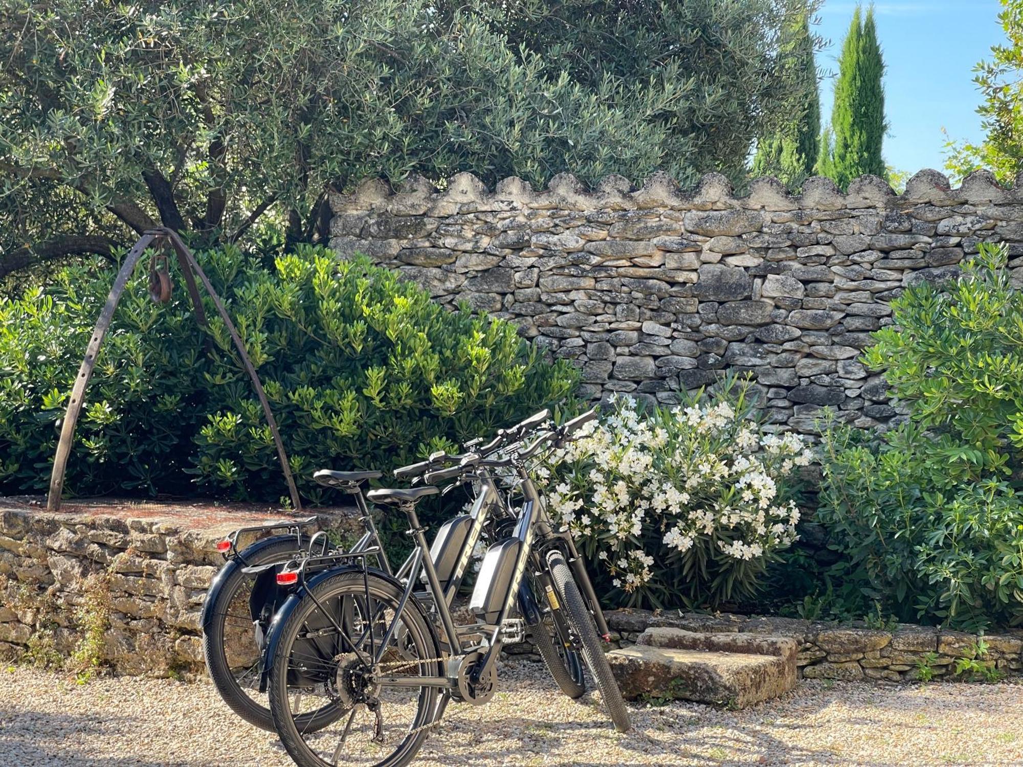 La Villa Baronnette Cabrieres-d'Avignon Ngoại thất bức ảnh