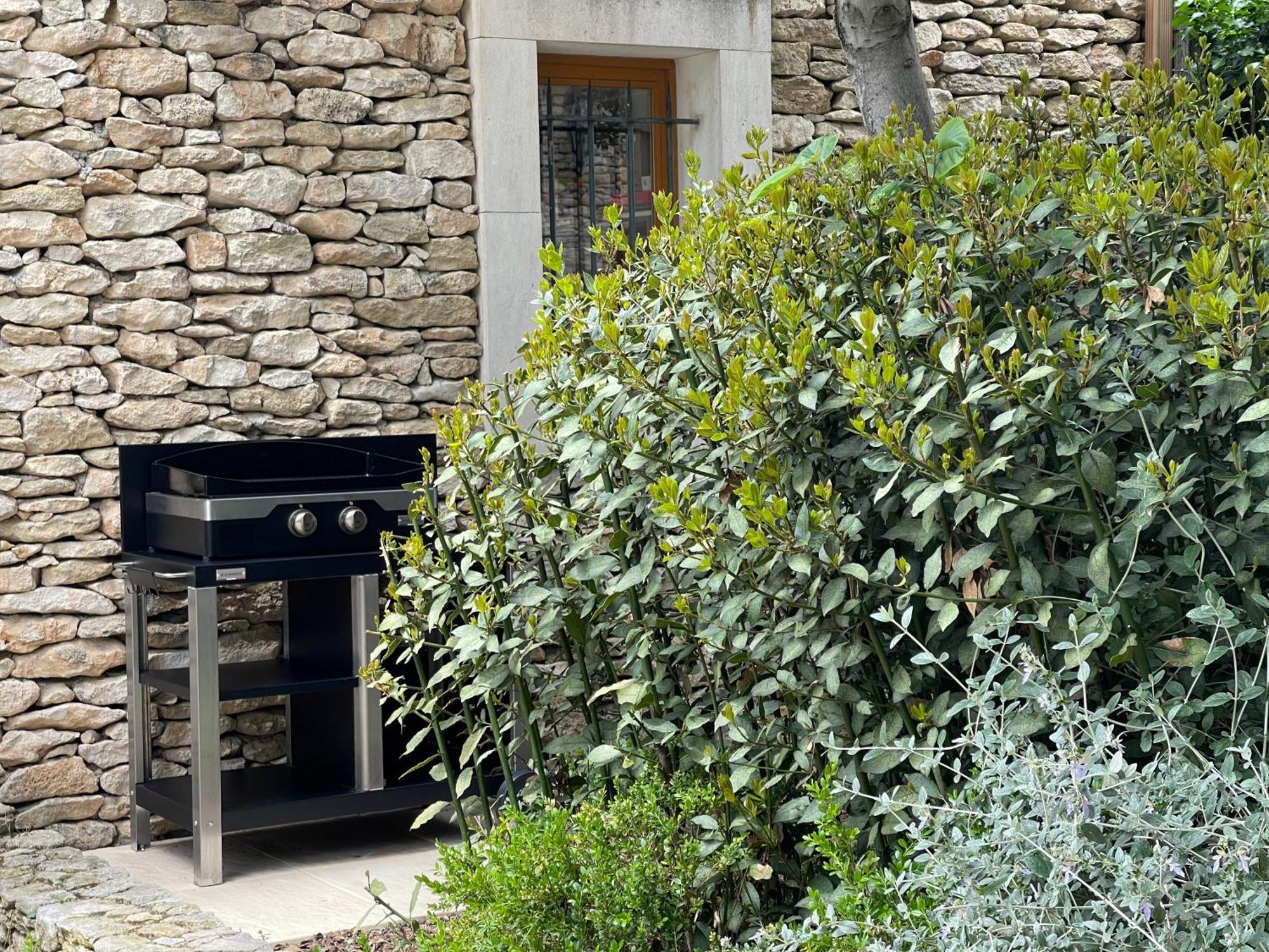 La Villa Baronnette Cabrieres-d'Avignon Ngoại thất bức ảnh